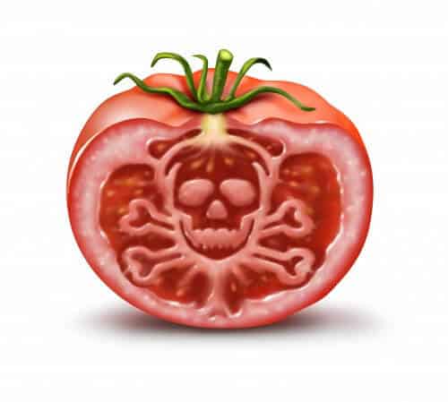 Poison Tomato