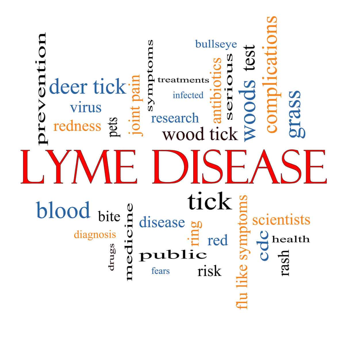 Lyme Disease Word Cloud