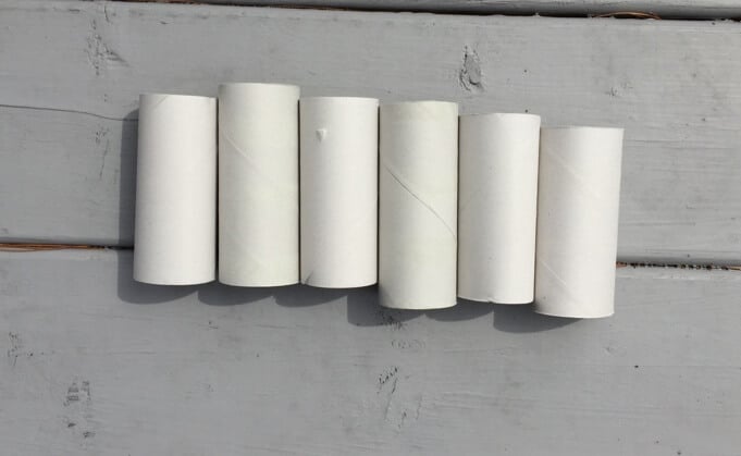 Toilet Paper Rolls for Tick Tubes