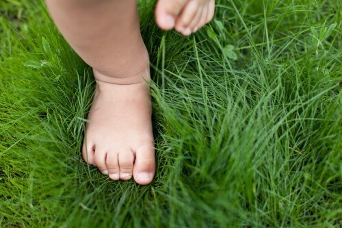 baby feet in grass