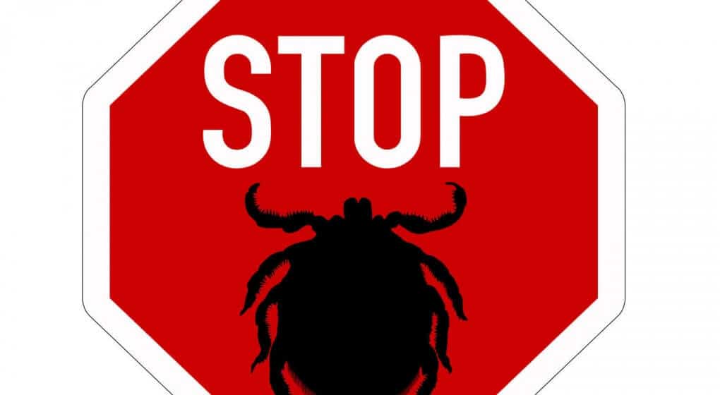 Stop sign for ticks