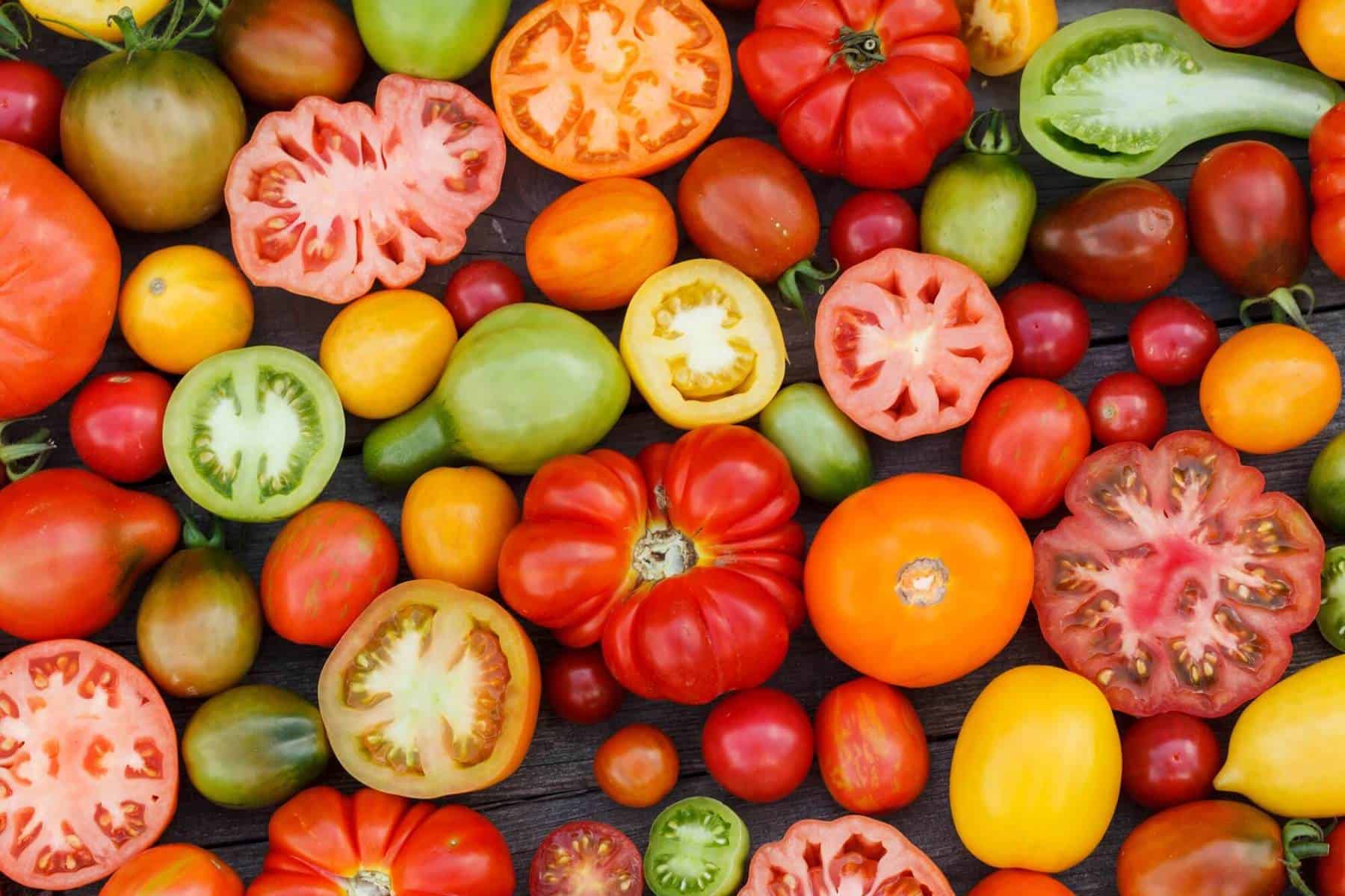 Bucket List Tomatoes