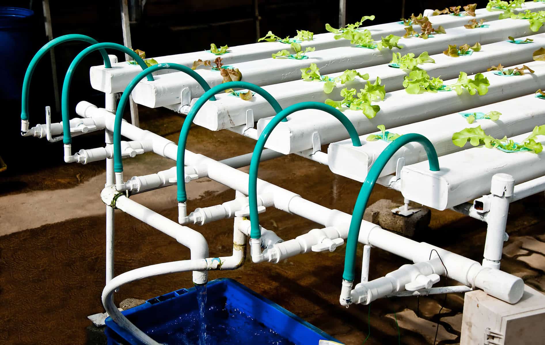 hydroponics kits