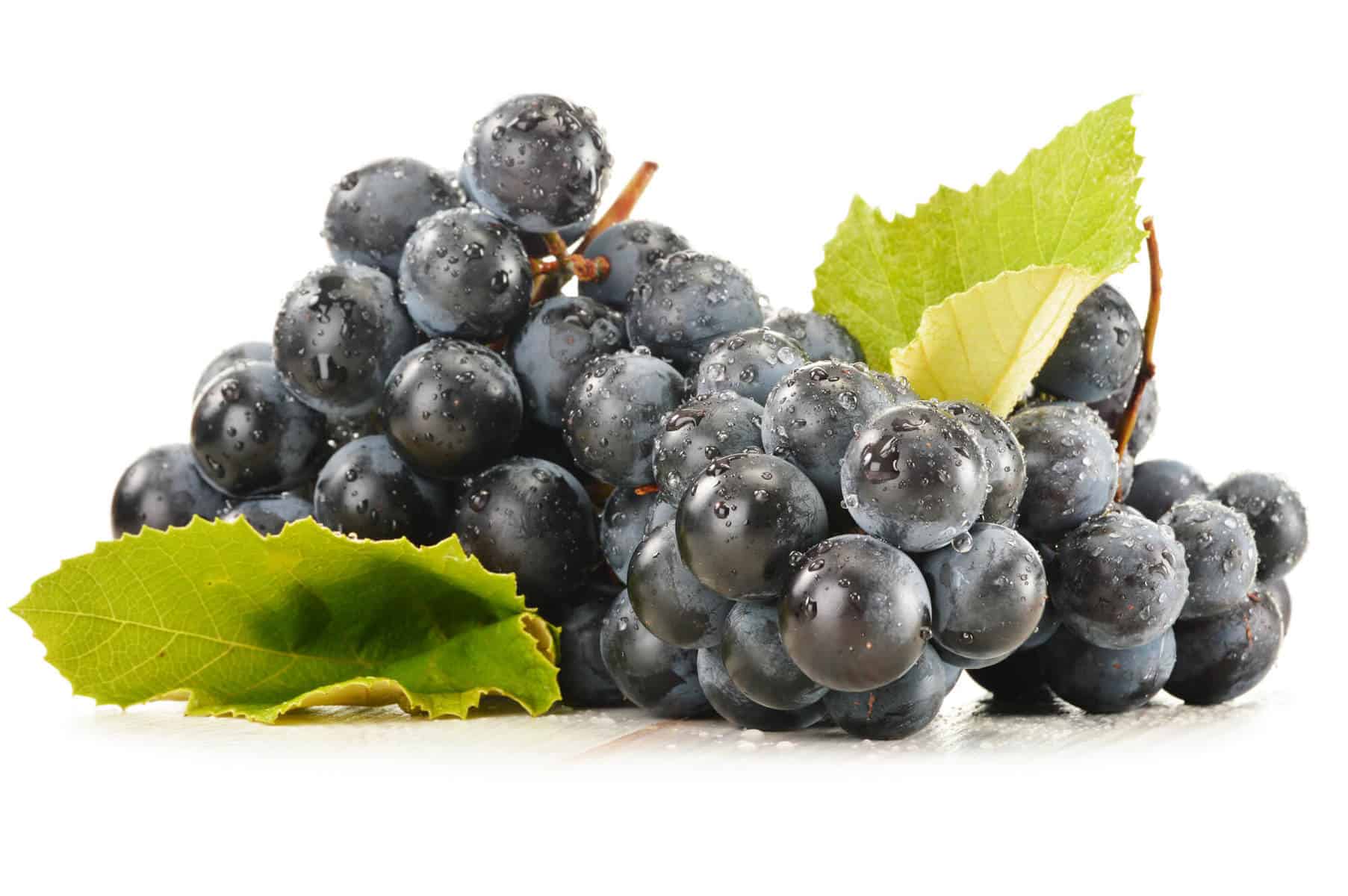 How to Choose the Best Resveratrol Supplements (2019 Update)